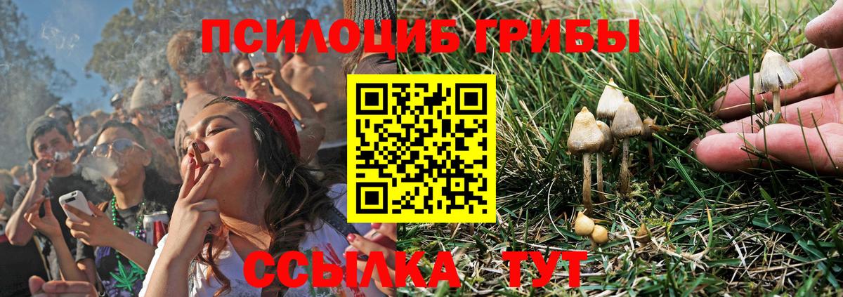 Псилоцибиновые грибы Magic Shrooms  Вход с VPN  Хасавюрт 