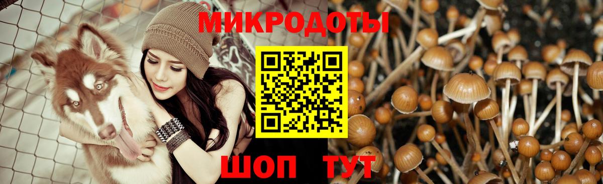 Галлюциногенные грибы Magic Shrooms Хасавюрт