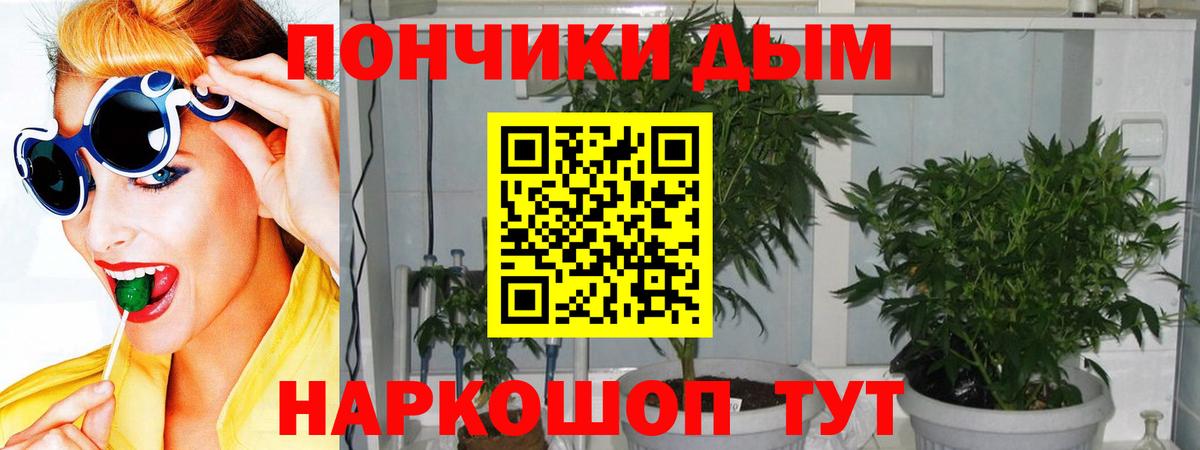 Бошки марихуана White Widow  Бошки Шишки план  Хасавюрт  Вход с VPN  Шишки марихуана LSD WEED  Бошки марихуана LSD WEED 